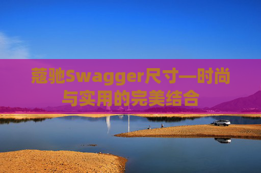 蔻驰Swagger尺寸—时尚与实用的完美结合